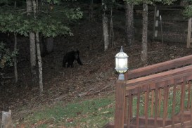 IMG_0076.JPG